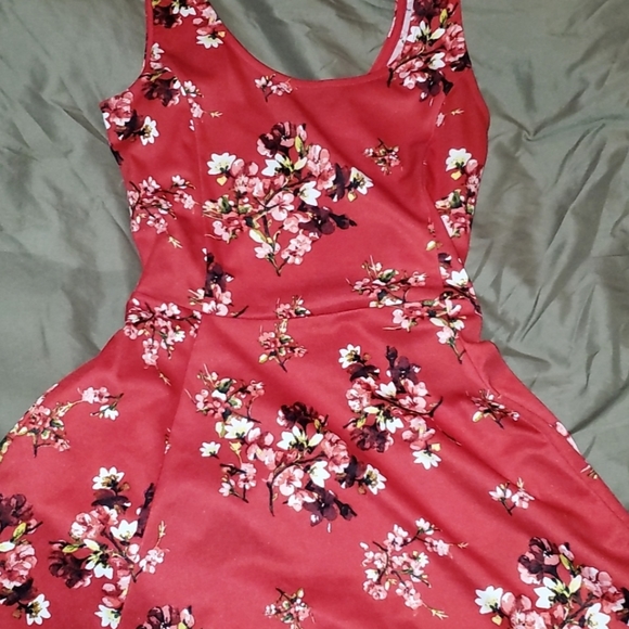 Dresses - Picture 4 of 6